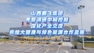 山西鹏飞集团考察调研中榈控股，深化产业交流，共绘大健康与绿色能源合作蓝图！