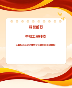 载誉前行 中榈工程科技在襄阳市总会计师协会年会上斩获双项表彰​