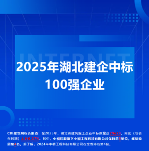 中榈工程科技有限公司位列2025年湖北建企中标第4名