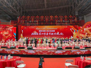荣耀受邀 共襄盛会｜中榈工程科技出席2026襄阳市春节联欢晚会